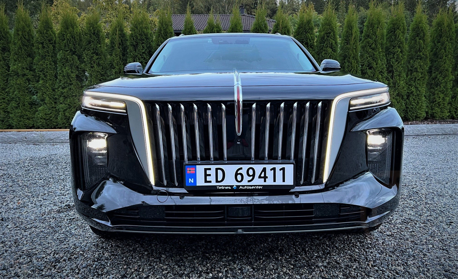 Hongqi E-HS9